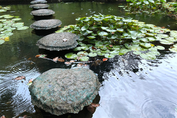 恒鑫生活：以生物基材料创新，筑牢可降解餐饮具绿色根基