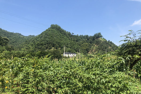 西宁市副市长肯定市邮政管理工作成效
