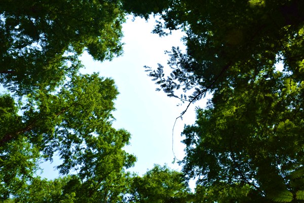 ASTM更新婴儿床安全标准